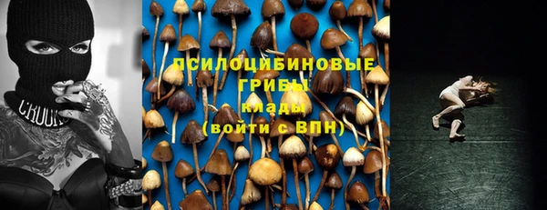 амф Карпинск